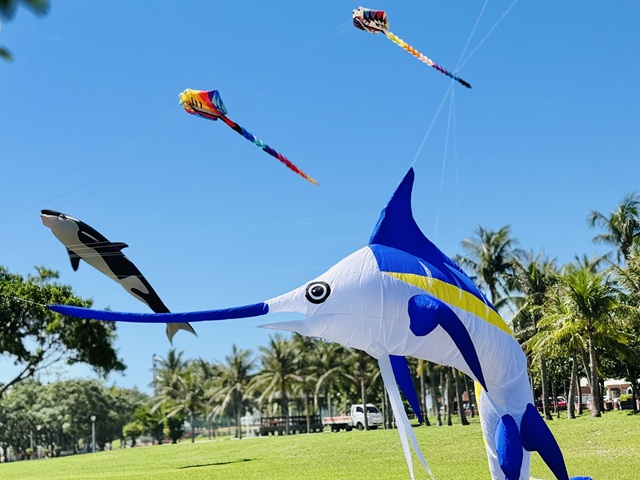 「大鯨旗．大成功」2025成功鎮風箏節...