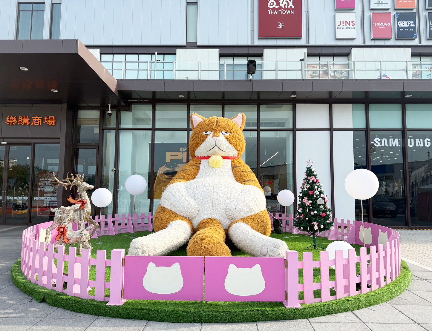 4米巨橘現岡山！厭世萌「橘貓重重」霸氣...